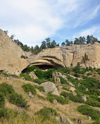 Downtown Neighborhood