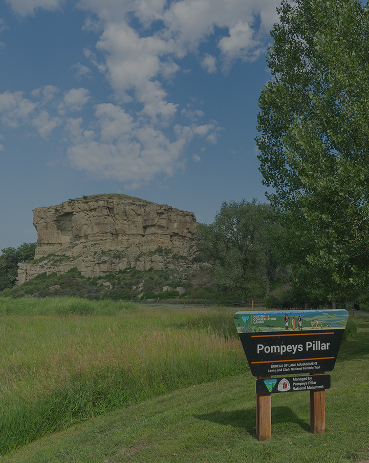 Heights Neighborhood